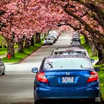 Danielle's room