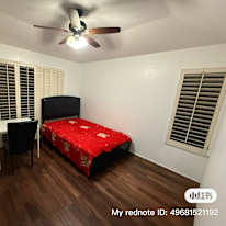 Lisa Z's room