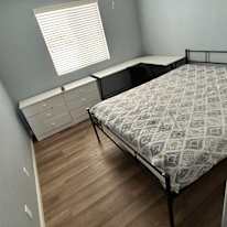 Ed's room