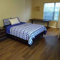 david's room