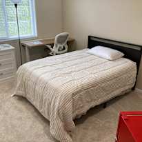 David Paul's room