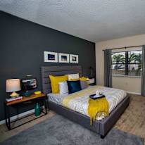 Carly's room