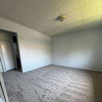 Erin's room