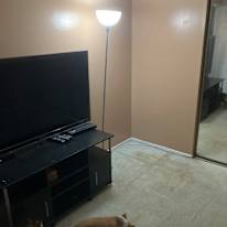 Michael's room