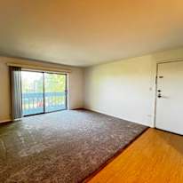 Bivesh's room