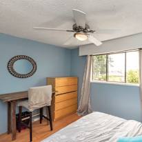 Todd's room