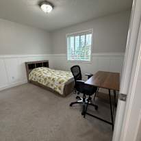 Mana Behin's room