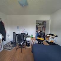 Serp's room