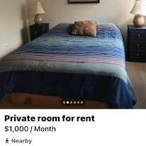 Renee's room