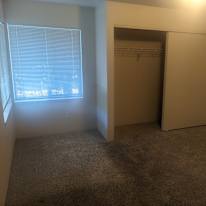 Connor's room