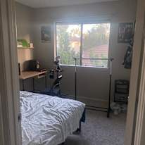 taylor's room