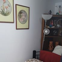 Ann's room
