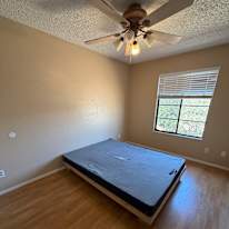Jabin Barcelo's room
