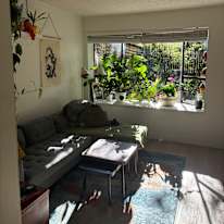 SerenaM's room