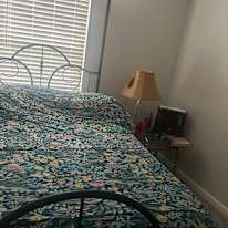 Mary's room
