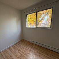 Mehedi's room