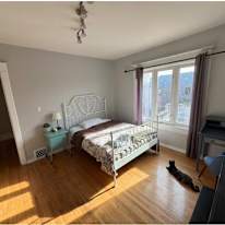 Lisa's room