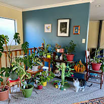 Dallas's room