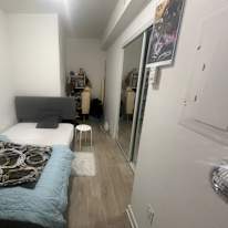 Amulyaa Dwivedi's room