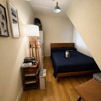 Daniel's room