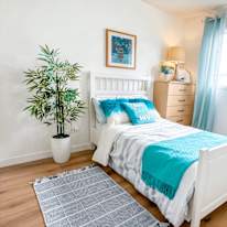 Ed's room