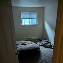Hannibal's room