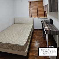 Chupi's room