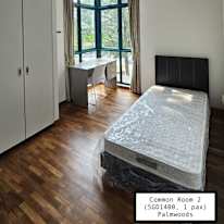 Chupi's room