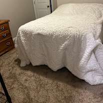 Rhonda Taylor's room