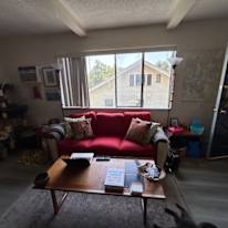 Alicia's room