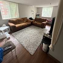 Simba's room