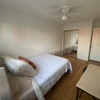 Haelly's room
