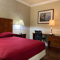 maggie's room