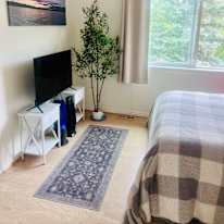 Emily Schewe's room