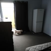 Susan Wagstaff's room