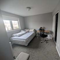jessie xue's room
