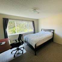 Luke's room