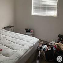 Andrea's room