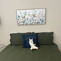Jamie's room