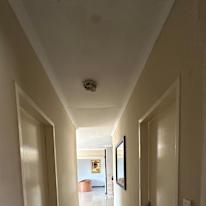 Nobbi's room