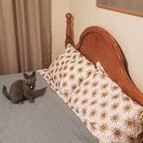 Sam's room