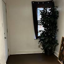 Kingston's room