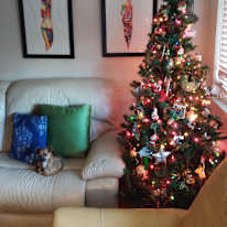 DANA GEDRICK's room