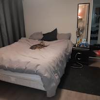 Ran's room