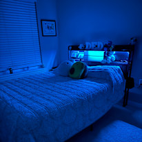 Judith's room