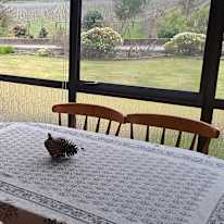 Kate Smith's room