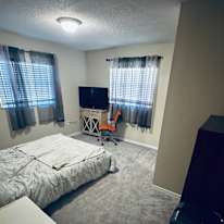 David's room