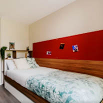 Rookie's room
