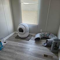 Rosanne donadio's room