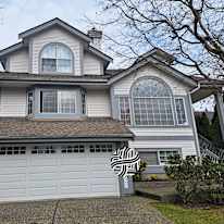 Nazanin Tofangchi's room